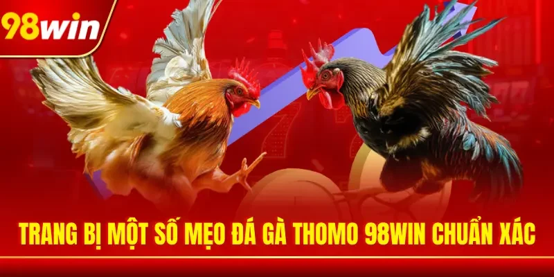 Trang bị một số mẹo đá gà Thomo 98WIN chuẩn xác